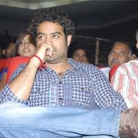 Jr NTR at Oosaravelli Audio Launch Gallery | Picture 77414